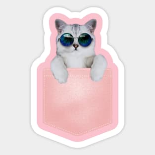 cat pocket Sticker